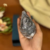 Pure Silver Nariyal