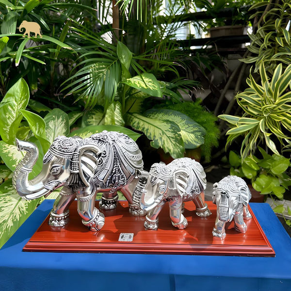 Pure Silver Elephant Family