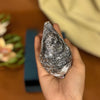 Pure Silver Nariyal