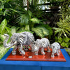 Pure Silver Elephant Family
